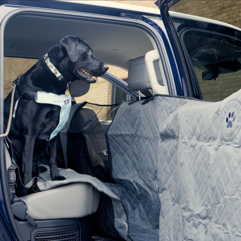 Ruff Liners Seat Cover