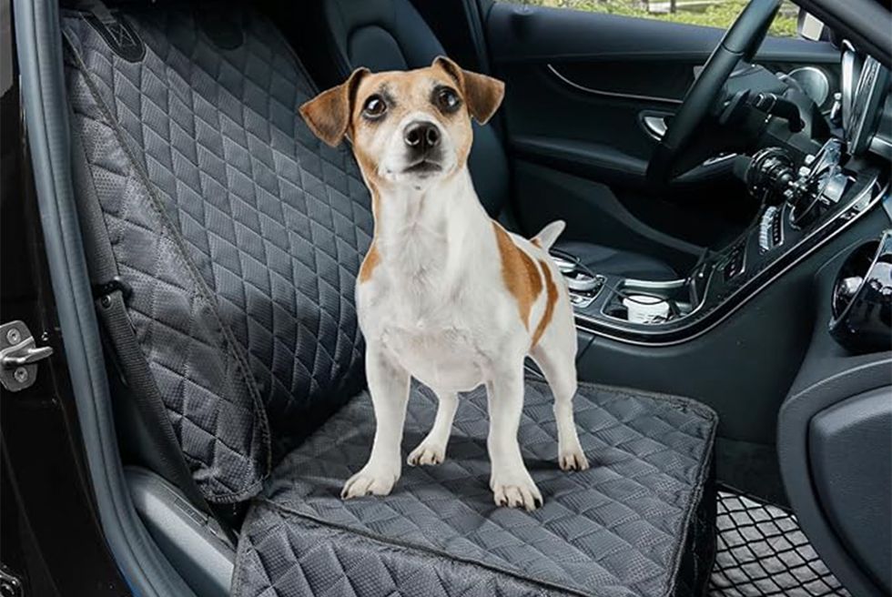 Las mejores fundas para asientos de coche para perros para dueños de mascotas